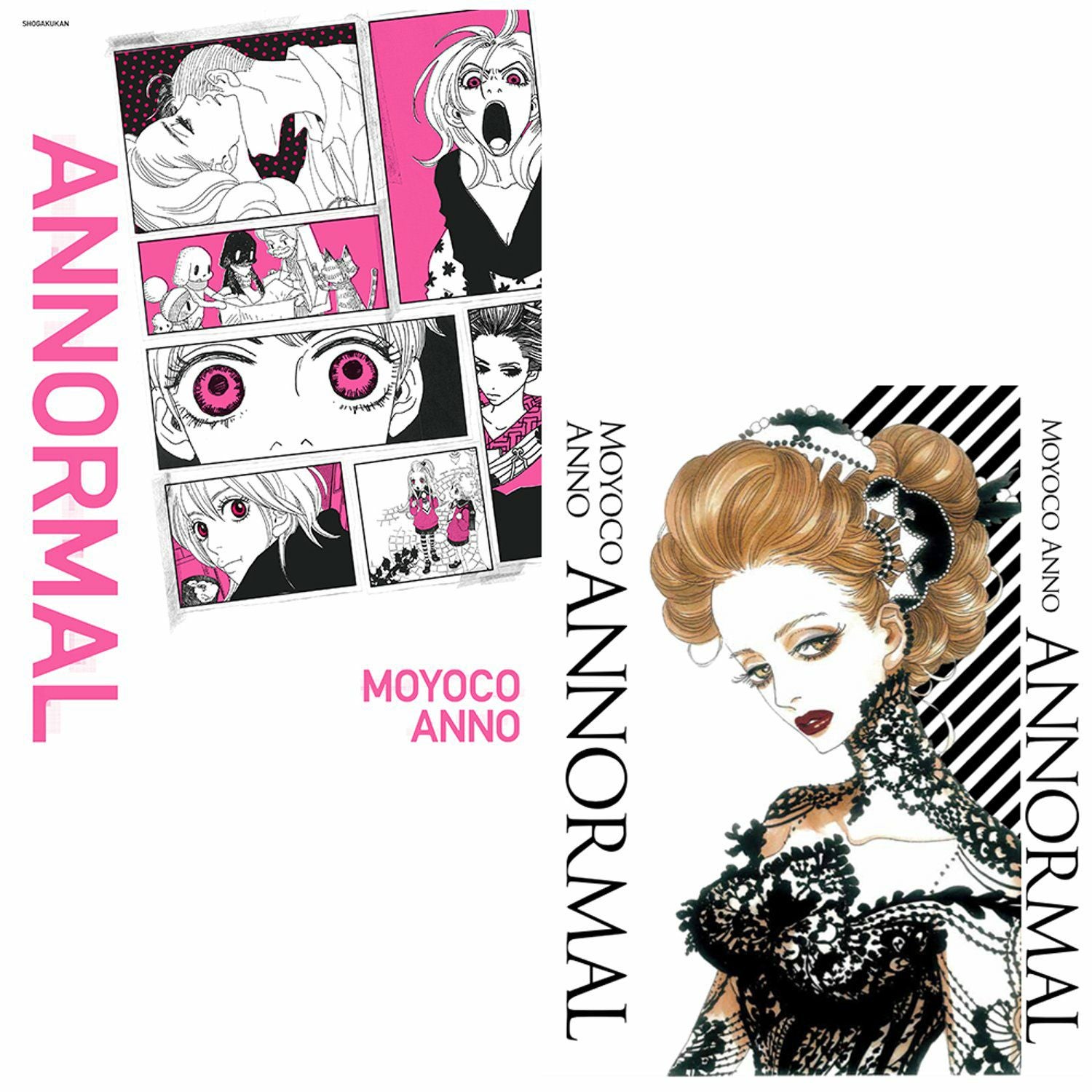 安野モヨコ 展覧会公式図録「ANNORMAL」セット（図録＋特別カバー 展覧