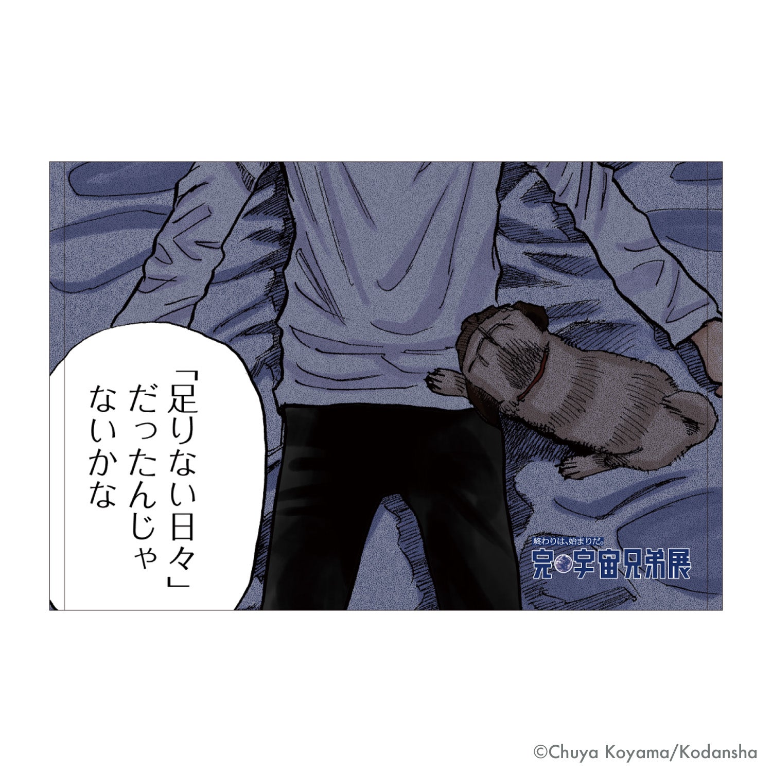 商品一覧 | コルクショップ